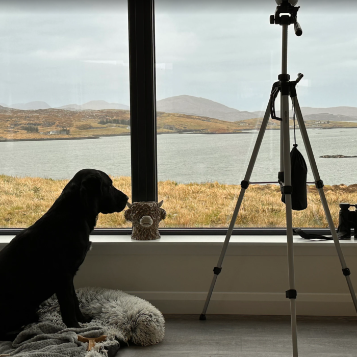 BlackLab